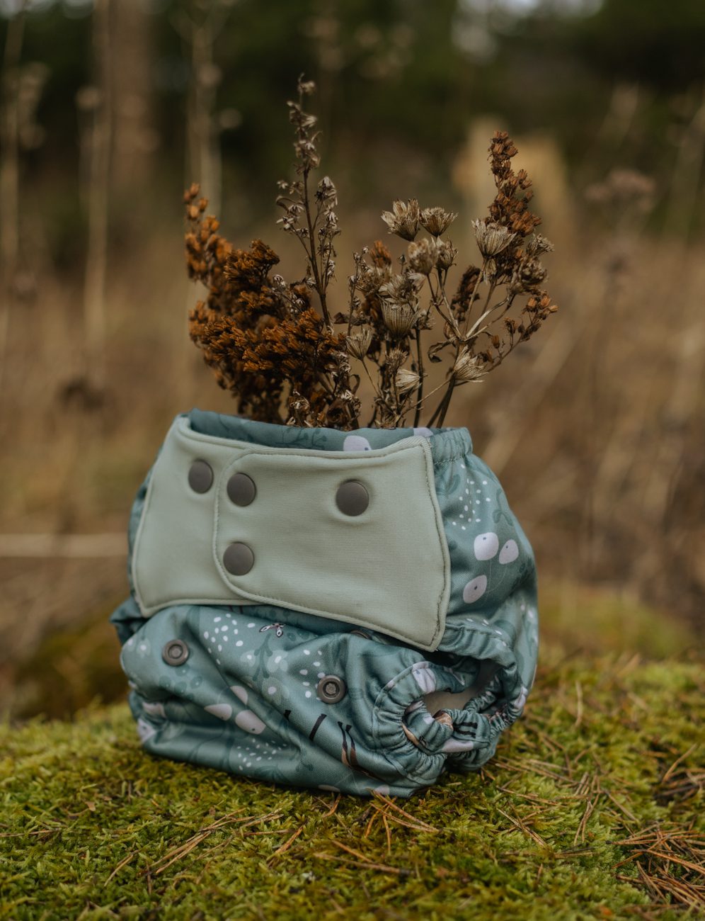 ett pul-skal i naturen